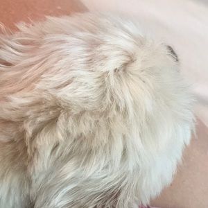 Meet your Posher, Candace